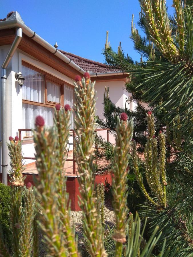 Nadas Pihenopark Tiszafüred Dış mekan fotoğraf